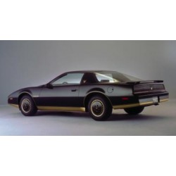 Serwo hamulcowe Pontiac Firebird Trans Am 1982 5.0 V8