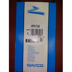 Pasek klinowy wielorowkowy DAYCO 4PK736